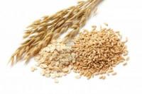 avena cereale simona vignali cucina vegetariana