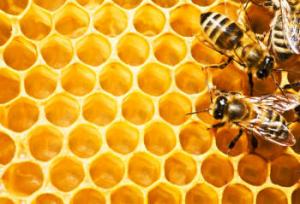 propoli propolis rimedi naturali simona vignali