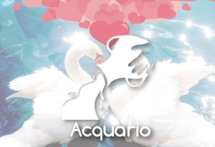 Affinità di coppia: Acquario Oroscopo Amore Maggio 2015