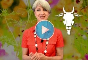 Capricorno - video oroscopo della salute giugno 2014 a cura di Simona Vignali