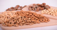 Ecco le migliori proteine per dimagrire con dieta proteica
