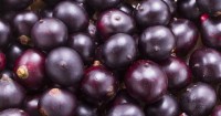 Mangia bacche di açai ogni giorno e questo ti succederà...