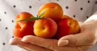 Pancia piatta e abbronzatura perfetta? Mangia albicocche!
