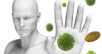 Sistema immunitario: i rimedi naturali della Naturopatia per i cambi di stagione