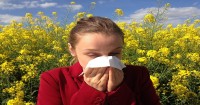 Soffri di allergia ai pollini? Evita questi cibi