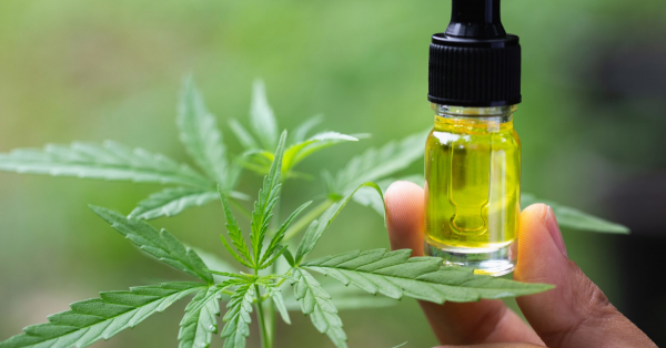 I 7 sorprendenti benefici dell'olio di CBD, il rimedio naturale utile anche contro ansia e depressione