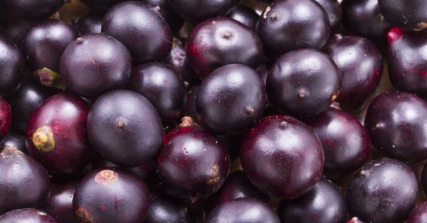 Mangia bacche di açai ogni giorno e questo ti succederà...