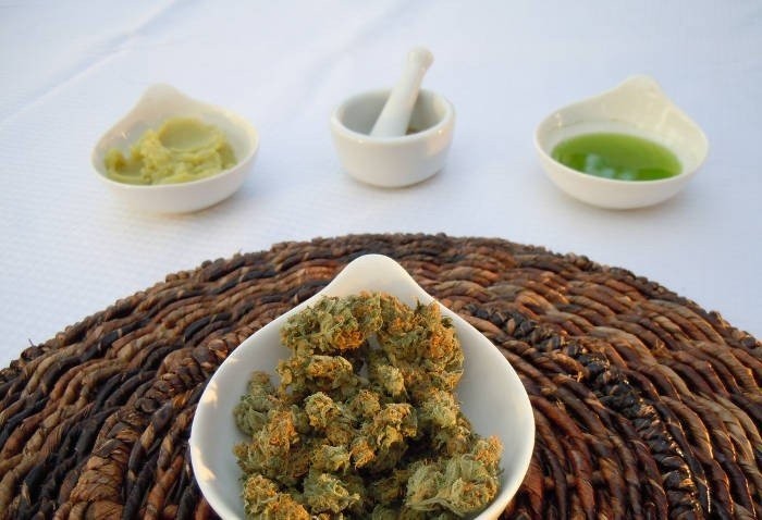 Marijuana: Stato e Esercito coltiveranno la Canapa Indica...a scopo curativo!
