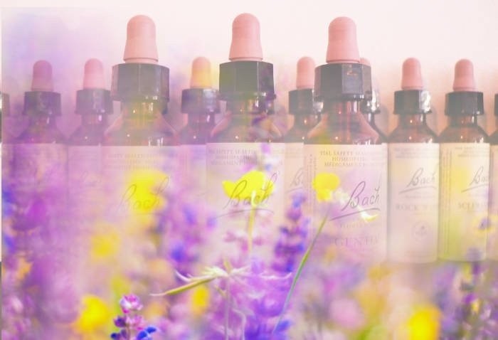 Naturopata Venezia e Mestre per Fiori di Bach o Gocce di Bach