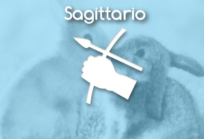 Oroscopo Sagittario Amore Aprile 2016